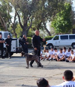 Week 3 of The Cadet Leadership Academy