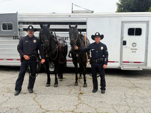 Week 8: SWAT, Mounted Unit & Financial Literacy